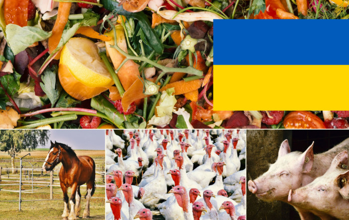 biogasanlage-biogas-plant-ssad