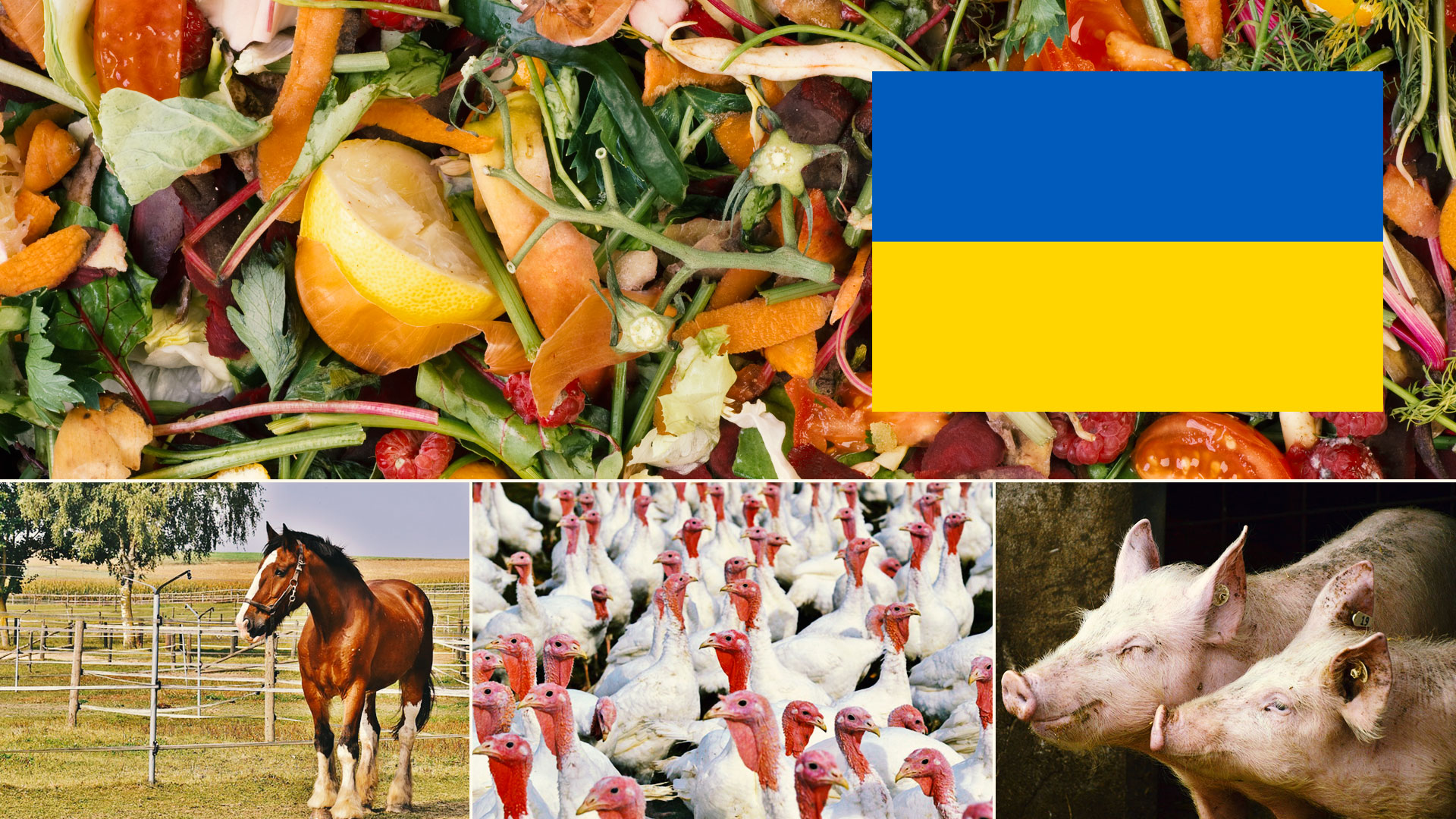 Biogasanlage Ukraine Feststoffvergärung. Biogas plant dry anaerobic digestion Ukraine