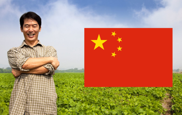 china biogas renergon