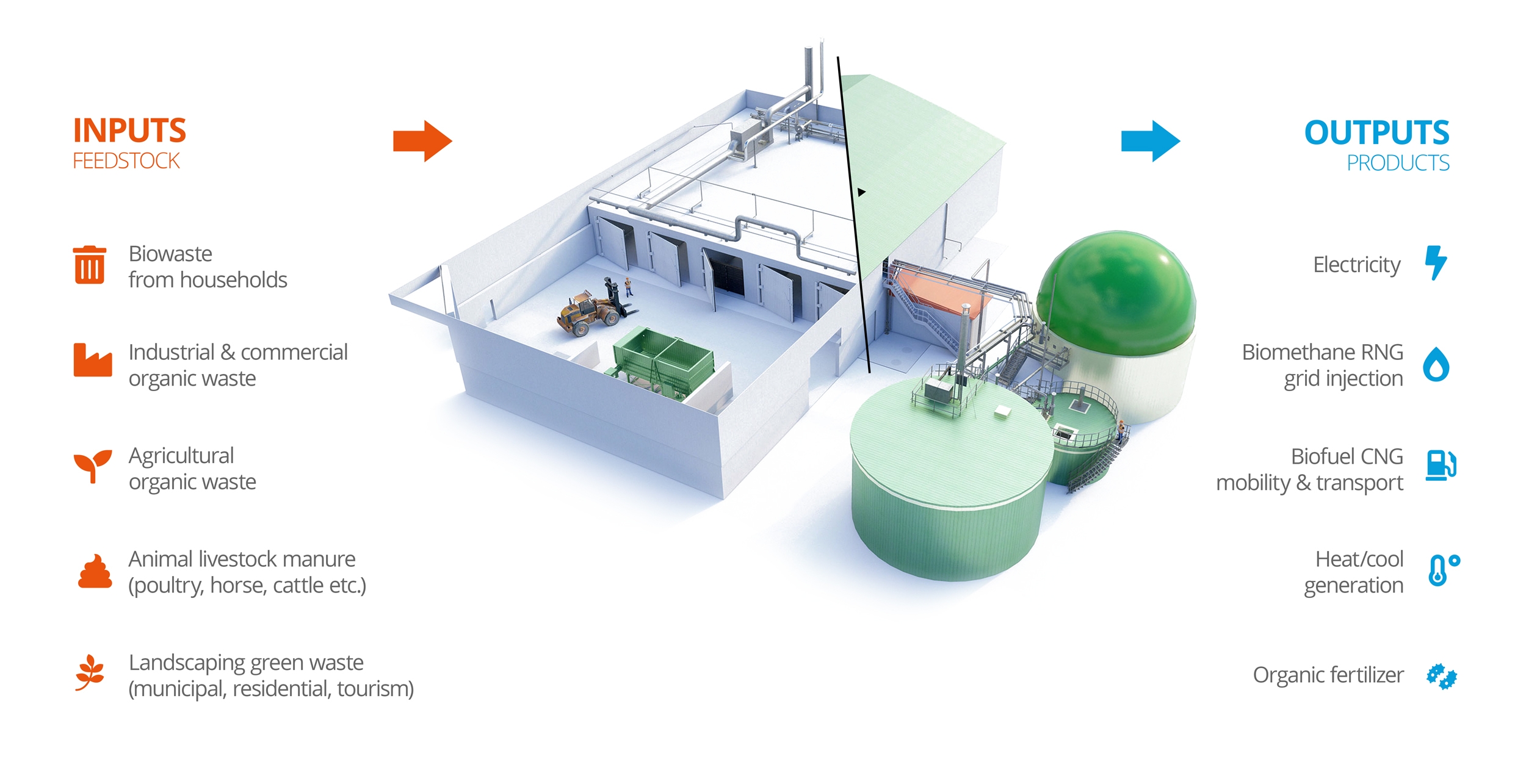 Biogas production through anaerobic co-digestion of rice husk and