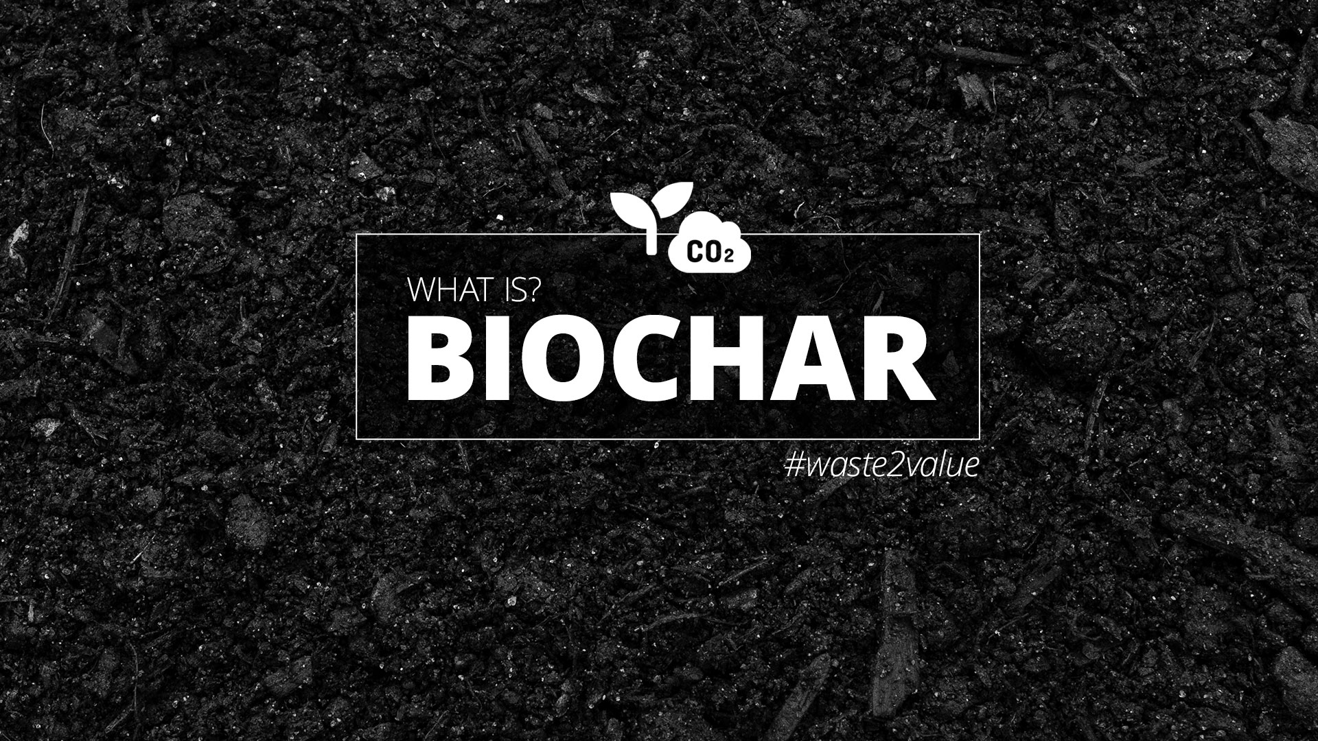 Biochar explained