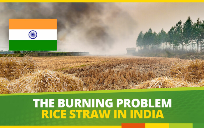 rice-straw-burning-india-patiala-biogas